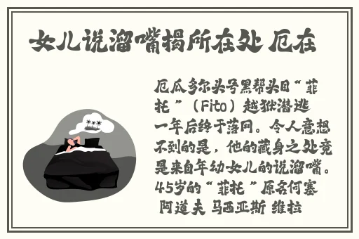 荒野大镖客大妈视频